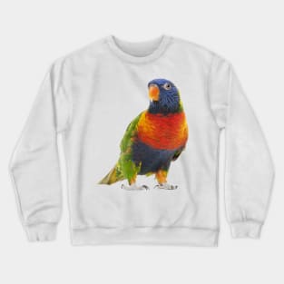 Cute Parrot Crewneck Sweatshirt